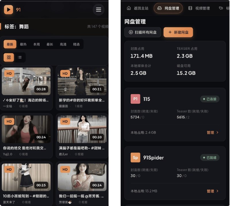 91个人私有视频站 支持多种云盘作为后端存储 + 内置 91 爬虫