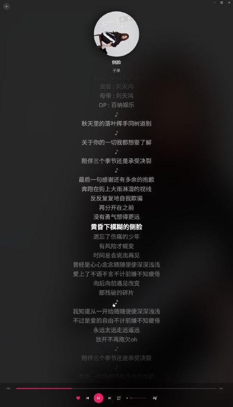 毛绒音乐极简的网易云第三方播放器 专注于竖屏